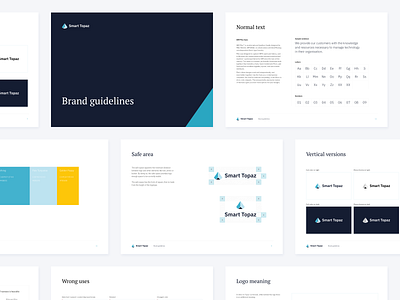 Smart Topaz - brand guidelines