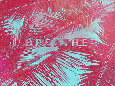 Breathe breath breathe color gradient map palm palm tree relax