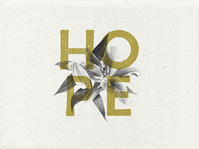 Hope flower flower illustration grain grit halftone hope letterpress paper screenprint stamp texture typography