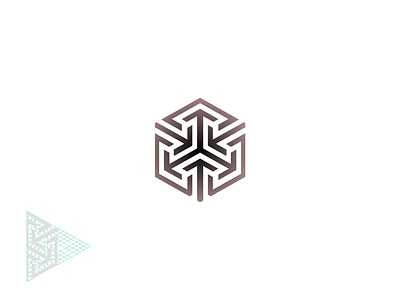 Hexagon Logo Mark