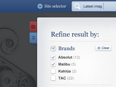 Refine search snippet bar search search result