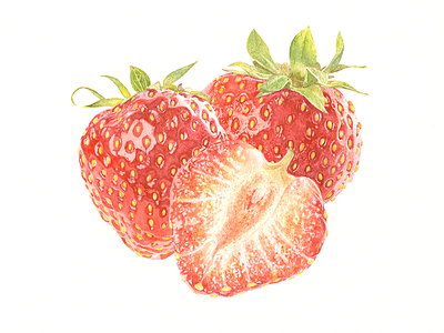 Strawberries painting