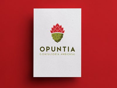 Opuntia business card aurea carmin brand branding branding agency branding design business card design businesscard design studio identity branding logodesign logotype