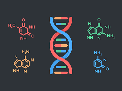 DNA