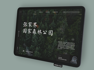 张家界国家森林公园 web 设计练习 design ui web