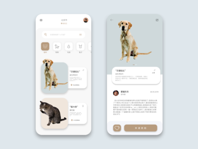 宠物领养by 李某人on Dribbble