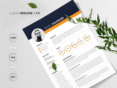 Modern and Simple Resume Template