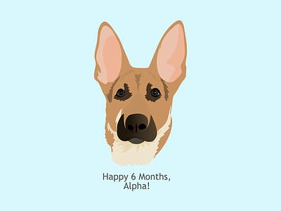 Puppy Alpha 6 months affinity designer animal dog face illustration ipad portrait vector