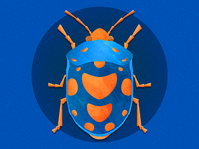 Bugging Out bug character creature design illustration insect photoshop textures