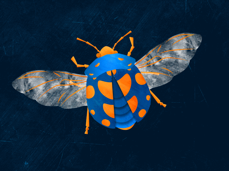 Buggin Out 2d after effects animation bug character insect texture wings