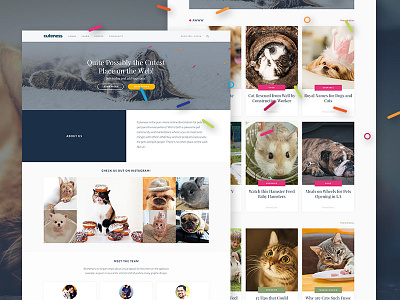 Cuteness branding design desktop ehow ui ux web