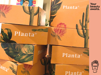Planta Packaging