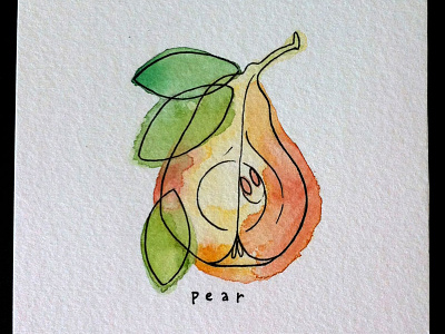 Pear cross section fruit ink pear simple watercolor