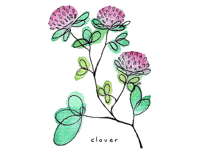 Clover