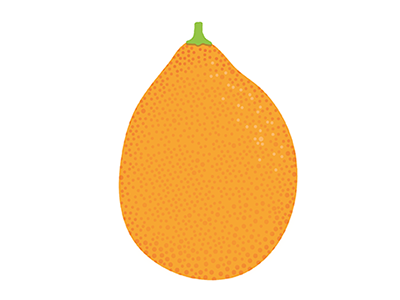 Kumquat california citrus illustration kumquat