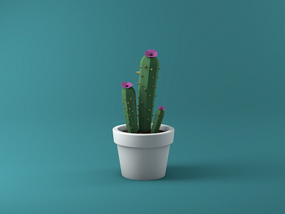 Cactus