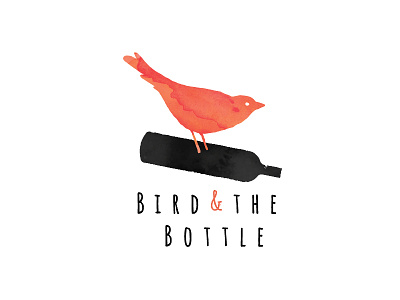Bird and the Bottle Logo 5 bird bottle drawn hand logo orange typography watercolour