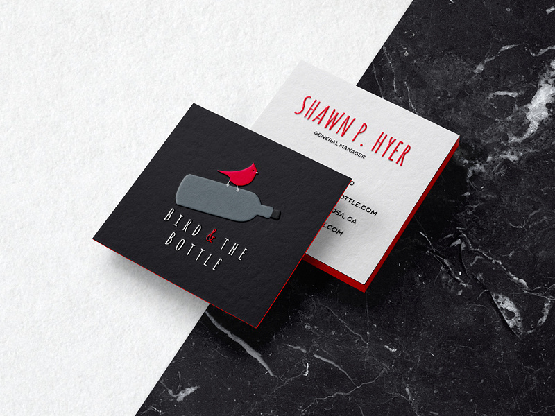 Bird and the Bottle Business Cards white black square card business drawn flat grey red logo bottle bird