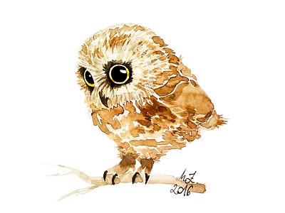 Watercolor Owl art for kids design illustration illustration art kids illustration owl owl art watercolor watercolor painting watercolour