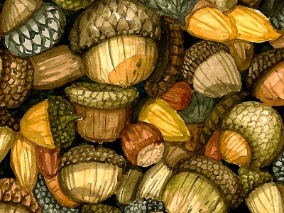 Stacked Acorns art for kids design illustration illustration art pattern pattern design watercolor watercolor painting watercolour