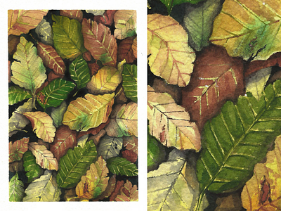 Watercolor pile of leaves aquarelle detailed work fall vibes inspiring work magdalena illustration magdalena żołnierowicz pattern pattern design surface pattern watercolor watercolor art