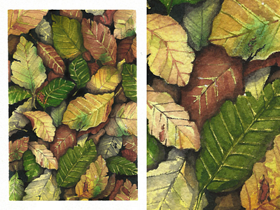 Watercolor pile of leaves