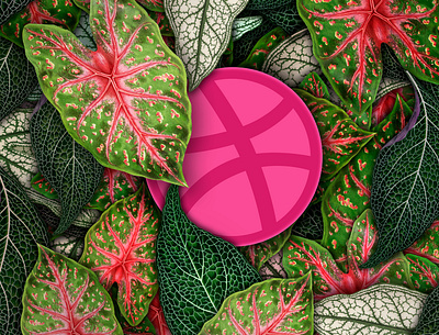 Jungle Dribbble collage design dribbble dribble hello dribbble jungle leaf leafs photoshop urban jungle