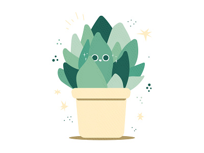 Succulents are cute (and shy)