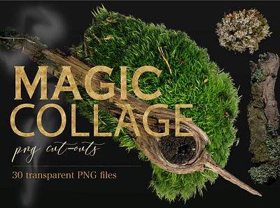 Magic collage. Scene Creator Mockup bark branding collage forest mood boards moss mystic presentations sacred twigs