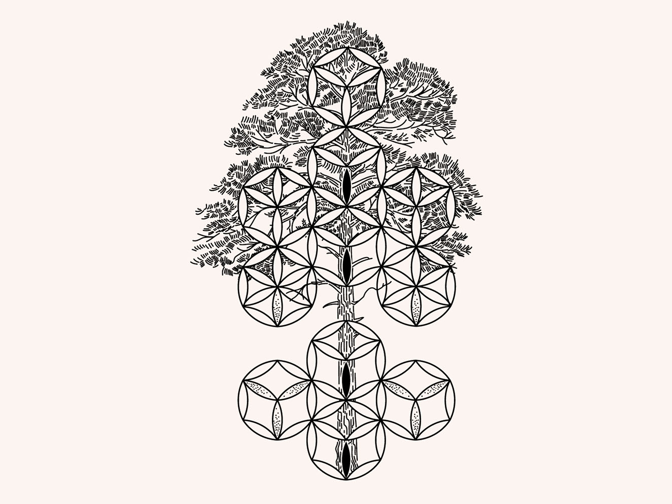 Free Free Tree Of Life Svg Image 555 SVG PNG EPS DXF File