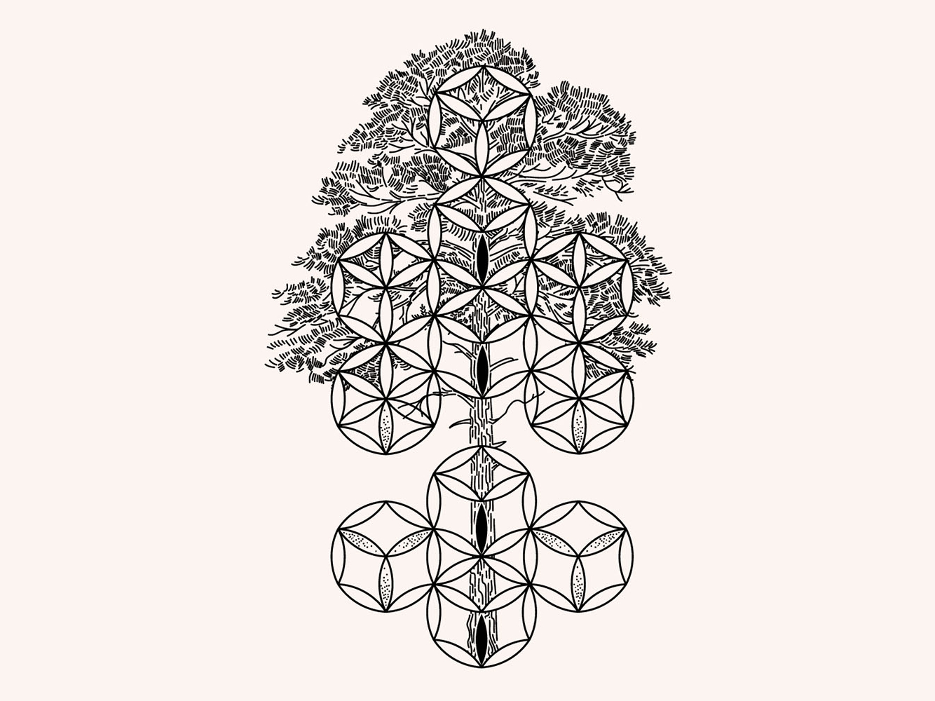 Free Free Tree Of Life Svg Image 759 SVG PNG EPS DXF File