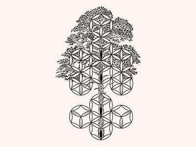 Tree of Life. SVG|PNG|Ai|JPEG astrology chakra crown design symbolic esoteric geometric shapes geometry heard root sacral chakra sacred sacred geometry totem tree of life vector yoga