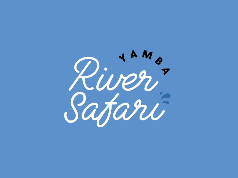 Animated reverse logo Yamba River Safari animation art brand branding contemporary design digital gif logo modern motion motion graphics retro tourism typography vector