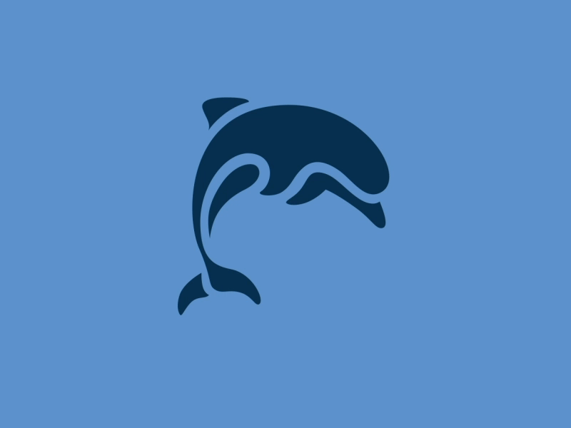 Dolphin Brand Graphic animation art brand branding contemporary design digital dolphin gif graphic illustration logo vector