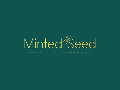 Minted Seed brand branding design flat flower icon illustration illustrator lettering logo minimal typography vector