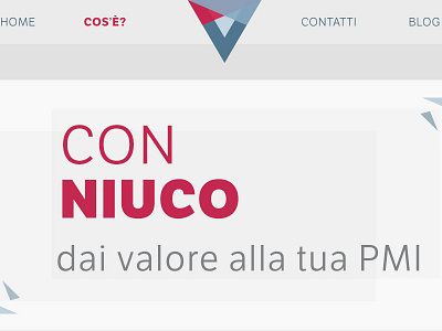 Niuco website - desktop ui design ux design web design