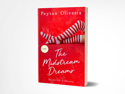 The midstream dream book cover design