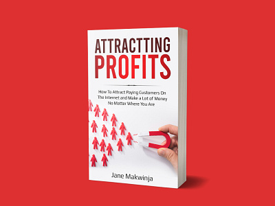 Attractting Profits Book Cover