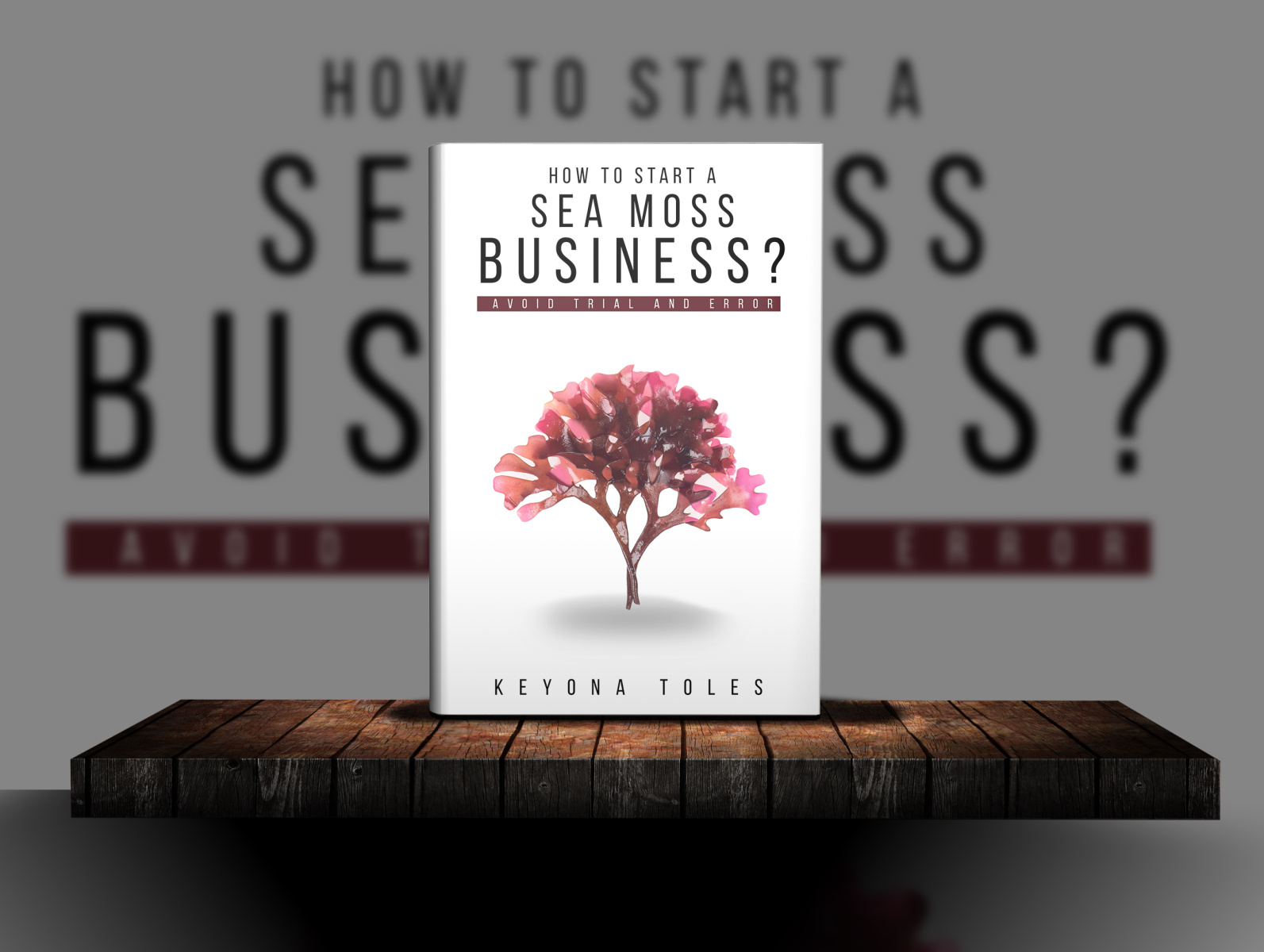 Sea Moss Business? by Tayyab Artist on Dribbble