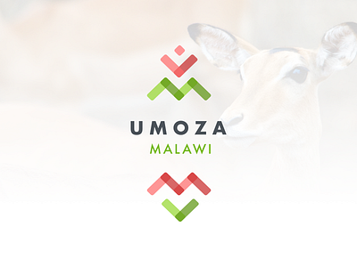 Umoza Branding africa brand branding education malawi ngo support