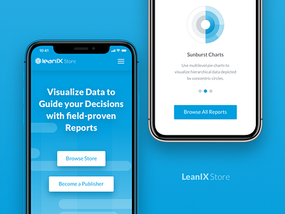 LeanIX Store Mobile