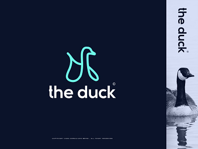 The Duck logo adobe art artist blue brand brand design brand identity branding design design art designer designs duck duck logo identity illustration logo logo design logodesign logos