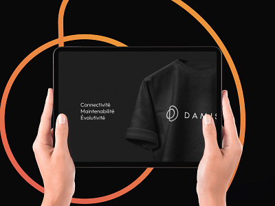 Damisis - Brand identity