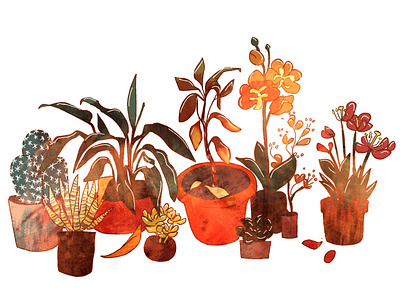 Plants