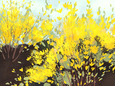 Forsythia painting digital art digital painting flower flower illustration forsythia illustration plants