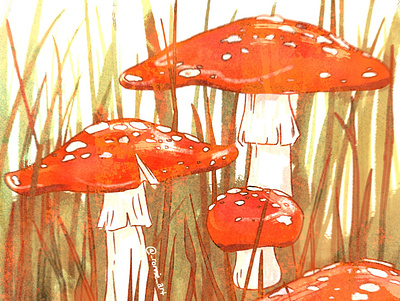 Mushrooms colorful digital art digital painting fungi fungus funky illustration mushroom mushrooms