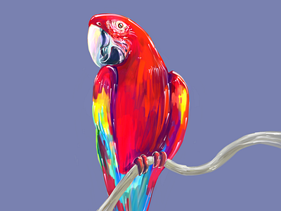 Scarlet Macaw