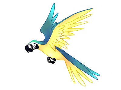 Blue and gold macaw animal bird digital art macaw parrot