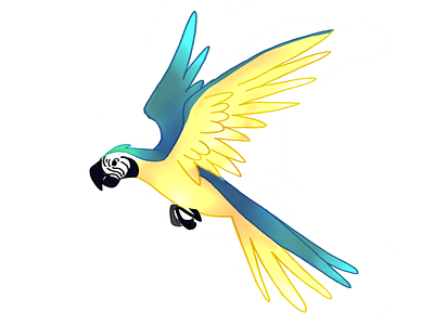 Blue and gold macaw