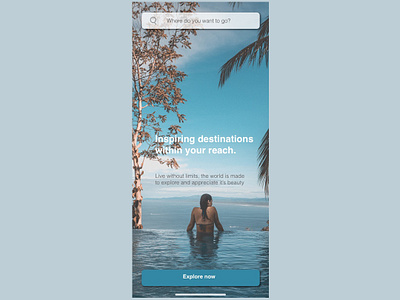 Travel Homepage for IOS